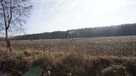 Działka budowlana Janiszów gm. Trzebnica - 12