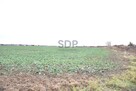 Działka siedliskowa Kąty Wrocławskie, Gliniana - 2