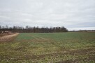 Działka siedliskowa Kąty Wrocławskie, Gliniana - 4