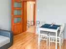 Mieszkanie Wrocław Stare Miasto, Przedmieście Świdnickie, Kościuszki - 4