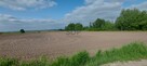 Działka rolna Wilkszyn gm. Miękinia, Wilkszyn - 5