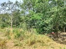 Działka budowlana Rościsławice gm. Oborniki Śląskie - 3