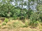 Działka budowlana Rościsławice gm. Oborniki Śląskie - 7