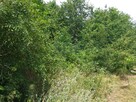Działka budowlana Rościsławice gm. Oborniki Śląskie - 8
