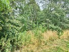 Działka budowlana Rościsławice gm. Oborniki Śląskie - 11