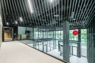 Lokal użytkowy Wrocław Krzyki, Tarnogaj, Krakowska - 13