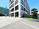 Lokal użytkowy Wrocław Stare Miasto, Stare Miasto, Braniborska - 9
