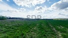 Działka siedliskowa Borkowice gm. Oborniki Śląskie - 4