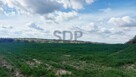 Działka siedliskowa Borkowice gm. Oborniki Śląskie - 5