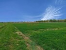 Działka budowlana Siechnice, Bzowa - 2