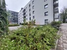 Mieszkanie Wrocław Stare Miasto, Stare Miasto, Kępa Mieszczańska - 2