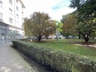 Lokal użytkowy Wrocław Śródmieście, Plac Grunwaldzki, Bujwida Odona - 5
