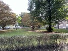 Lokal użytkowy Wrocław Śródmieście, Plac Grunwaldzki, Bujwida Odona - 6