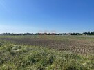 Działka rolno-budowlana Lutynia gm. Miękinia, Słoneczna - 1