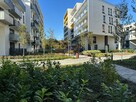Mieszkanie Wrocław Stare Miasto, Szczepin, Długa - 2