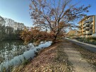Mieszkanie Wrocław Psie Pole, Swojczyce, Magellana Ferdynanda - 14