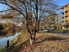 Mieszkanie Wrocław Psie Pole, Swojczyce, Magellana Ferdynanda - 15