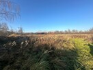 Działka budowlana Żurawiniec gm. Miękinia, Kasztanowa - 4