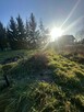 Działka budowlana Żurawiniec gm. Miękinia, Kasztanowa - 5