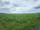 Niezabudowana nieruchomość rolna - łączna pow. 5,07ha - 16
