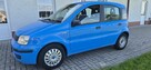 Audi, VW,Ford ,Opel, Renault, Peugeot !!! - 9