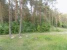 Syndyk sprzeda udział 1/2 w zabudowanej działce - 5