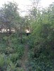 Sprzedam mieszkanie 3 pokojowe z loggią i ogródkiem - 6