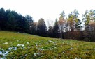 Piękna 1,28 ha działka na terenie Gór Słonnych, Bezmiechowa - 7