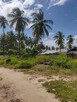Zanzibar - 3