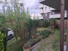 Zatrudnię osobę do prac w ogrodzie 70m2 - 7