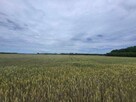 Niezabudowana nieruchomość rolna - łączna pow. 5,07ha - 12
