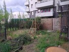 Zatrudnię osobę do prac w ogrodzie 70m2 - 6