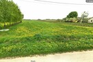 Działka na sprzedaż - Grabowica, gm. Pacanów - 2