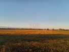 Działka rolna Brzeg Dolny, Średzka - 4