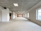 Lokal użytkowy Wrocław Stare Miasto, Stare Miasto, Plac Wolności - 4