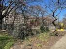 Mieszkanie Wrocław Stare Miasto, Stare Miasto, Szczepińska - 12