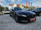 Jaguar XF Jasne skóry |nawigacja |xenon+led |szyberdach-panorama|NOWY rozrząd - 3