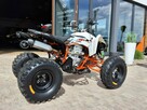 KAYO Inny SALON MOTOCYKLOWY MOTOEAGLES Kayo A300. Sprawdż ofertę i Serwis - 10