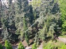 do wynajmu 2 pokoje +kuchnia Pruszków - 16