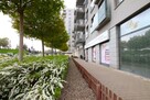 Lokal użytkowy Wrocław Wrocław-Śródmieście, Śródmieście, Namysłowska - 13