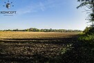 Duża działka pod zabudowę z widokiem na Ślężę - 8