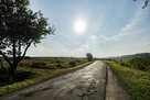 Duża działka pod zabudowę z widokiem na Ślężę - 9