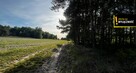 Działka rolna Deszno gm. Nagłowice, - 2