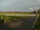 Działka siedliskowa Nowy Kawęczyn Nowy Dwór-Parcela - 1