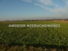 Działka siedliskowa Nowy Kawęczyn Nowy Dwór-Parcela - 2