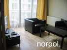 Angel Plaza, Zwierzyniecka, 60 m2, balkon, klimatyzacja, jacuzzi, siłownia - 3