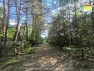 Działka budowlana Mrozy gm. Puszcza Mariańska - 3