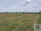 Działka rolno-budowlana Lisi Ogon gm. Białe Błota - 2