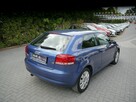 Audi A3 1.6mpi Stan Idealny 100%bezwypadkowy z Niemiec Gwarancja 12mcy 1właść - 3