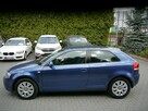 Audi A3 1.6mpi Stan Idealny 100%bezwypadkowy z Niemiec Gwarancja 12mcy 1właść - 7